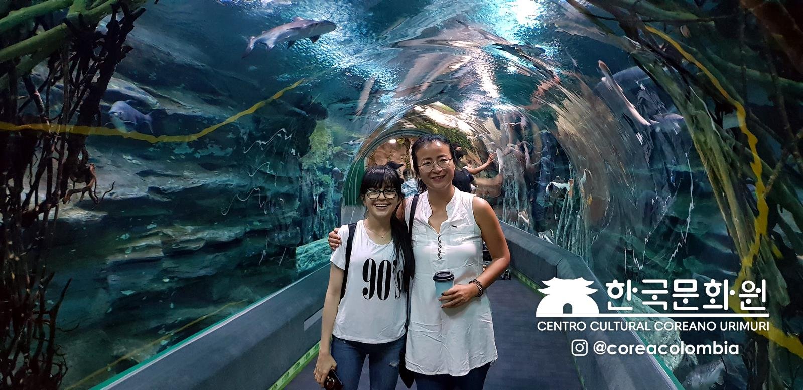 Tour a Corea Verano 2019