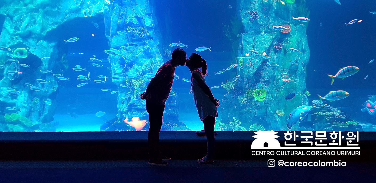 Tour a Corea Verano 2019