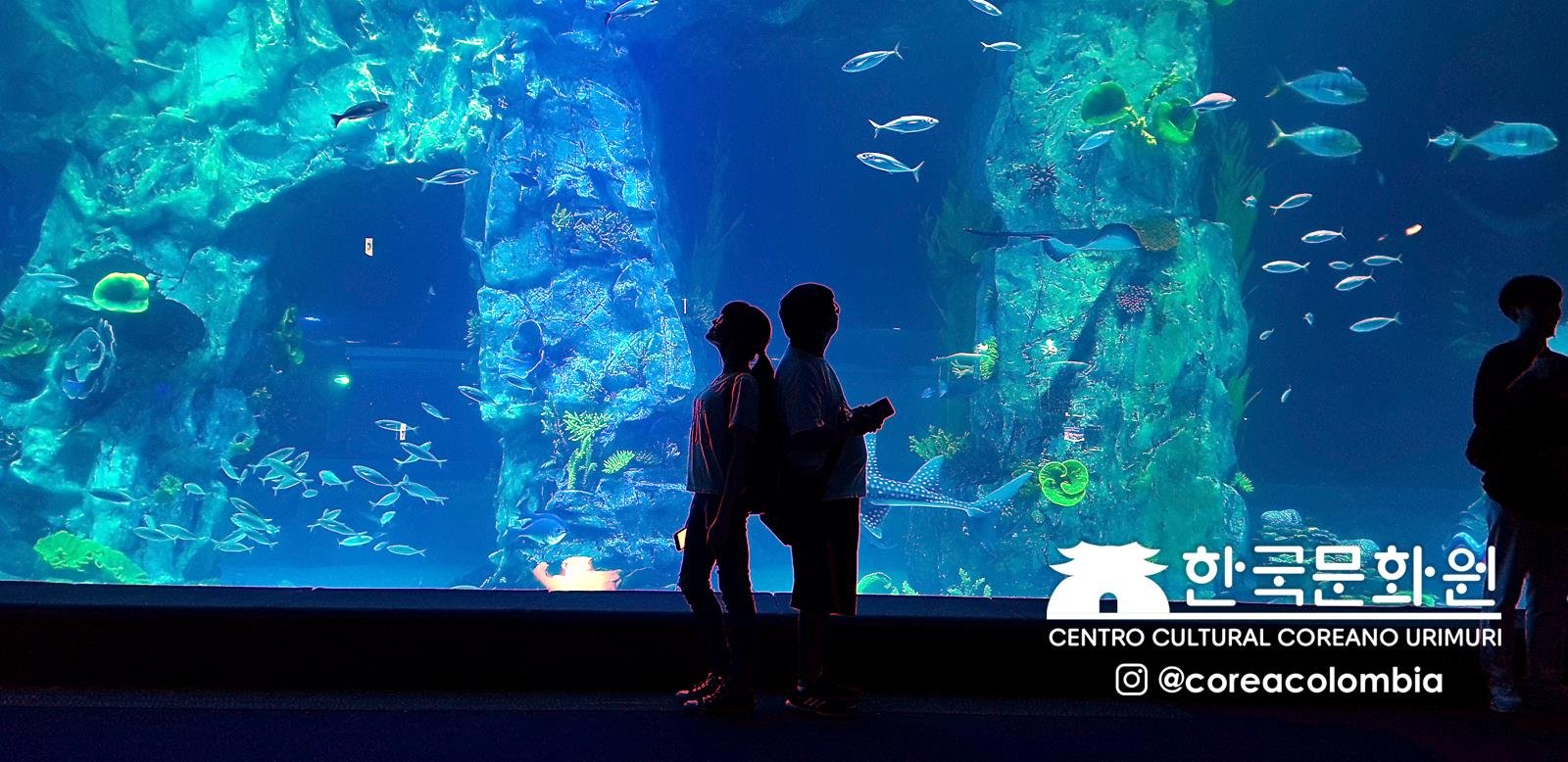 Tour a Corea Verano 2019
