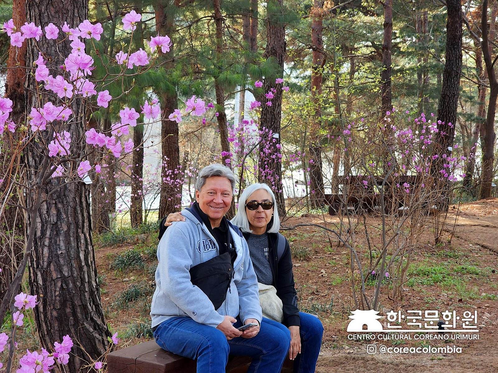 Tour a Corea Primavera 2023
