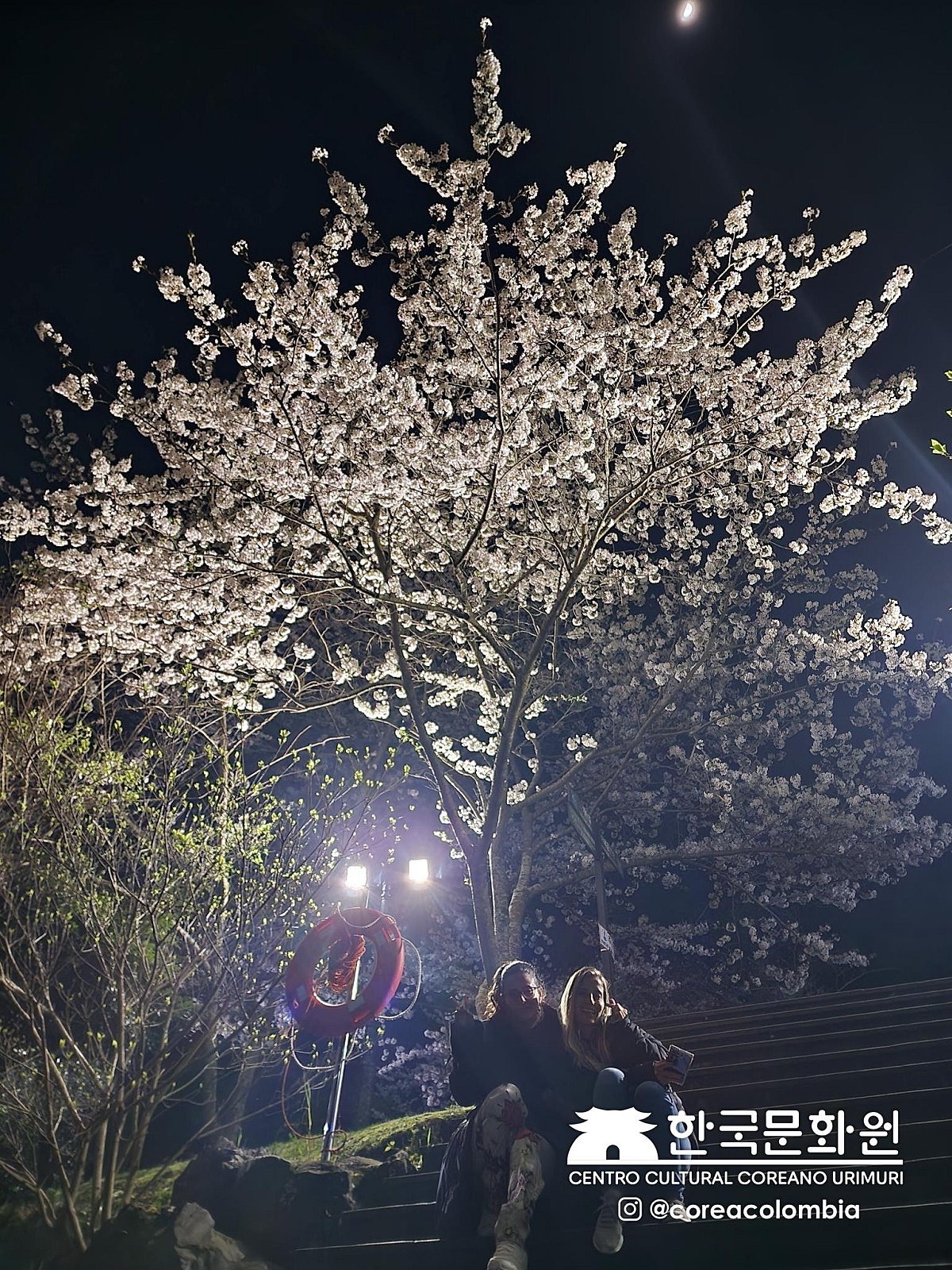 Tour a Corea Primavera 2023