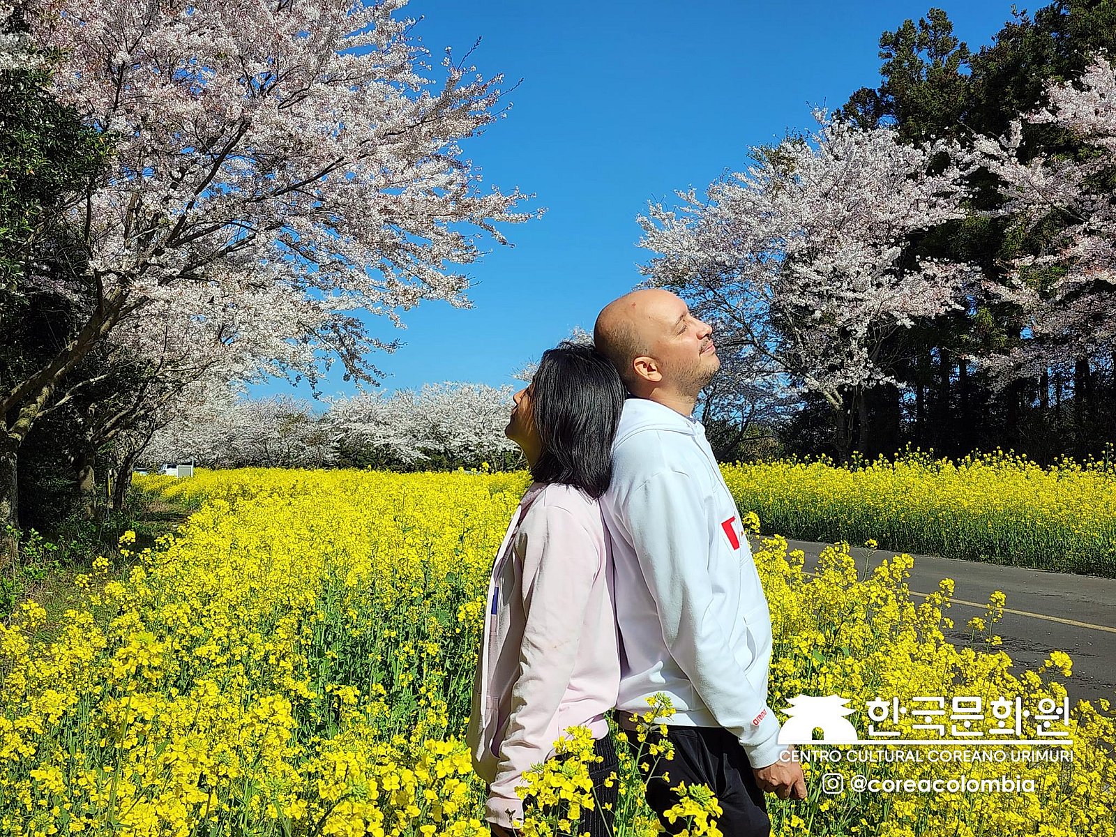 Tour a Corea Primavera 2023