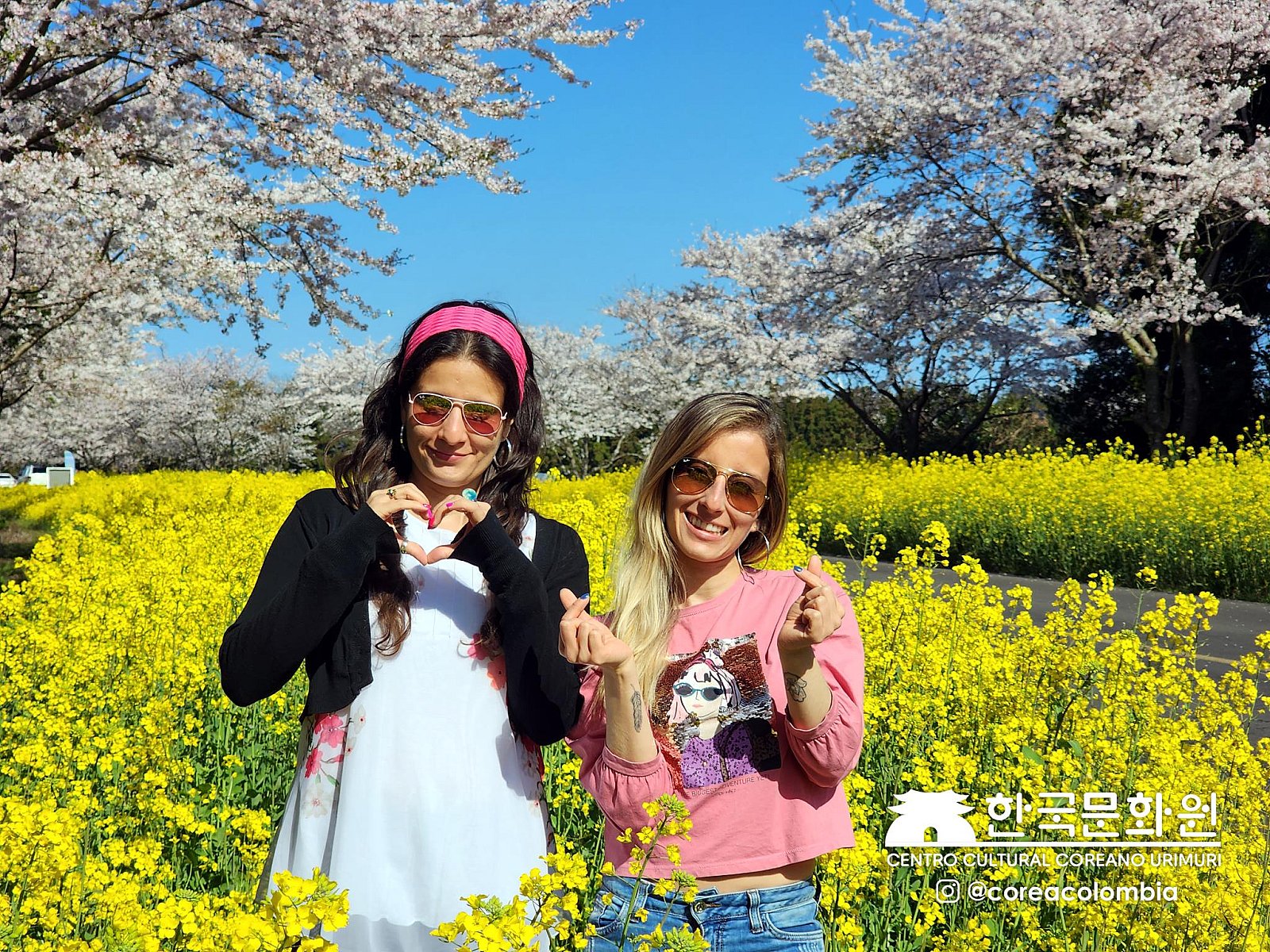 Tour a Corea Primavera 2023