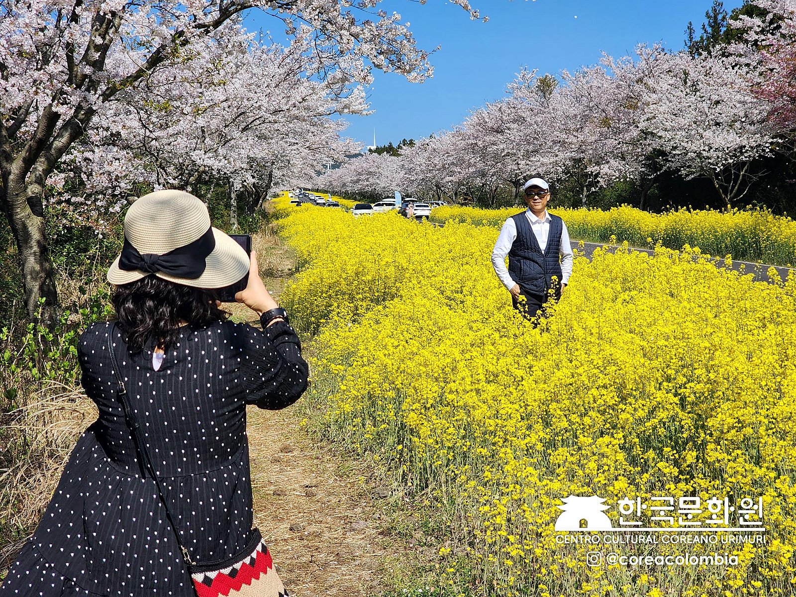 Tour a Corea Primavera 2023