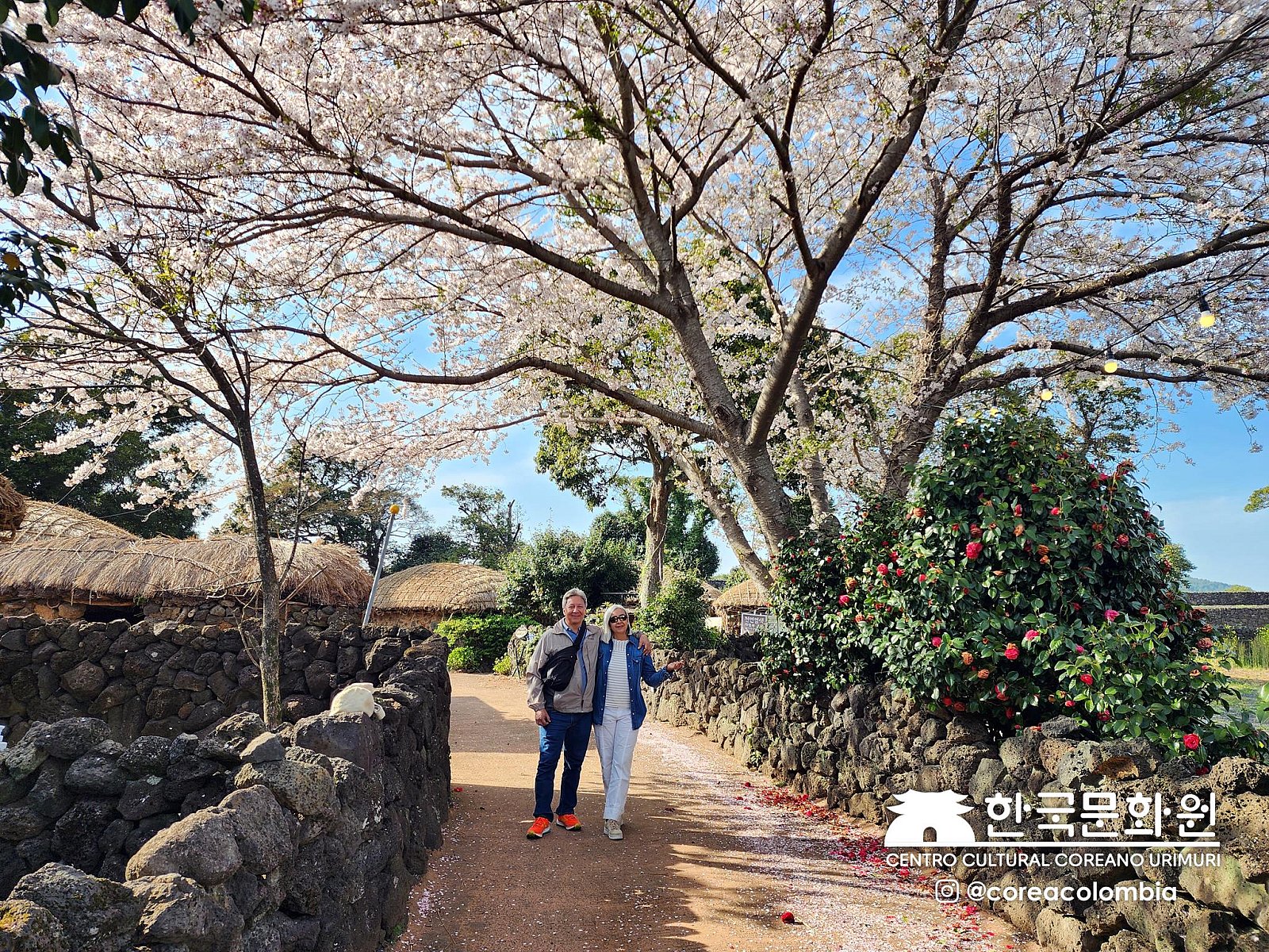 Tour a Corea Primavera 2023