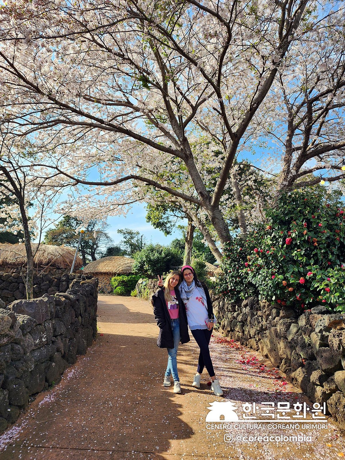 Tour a Corea Primavera 2023