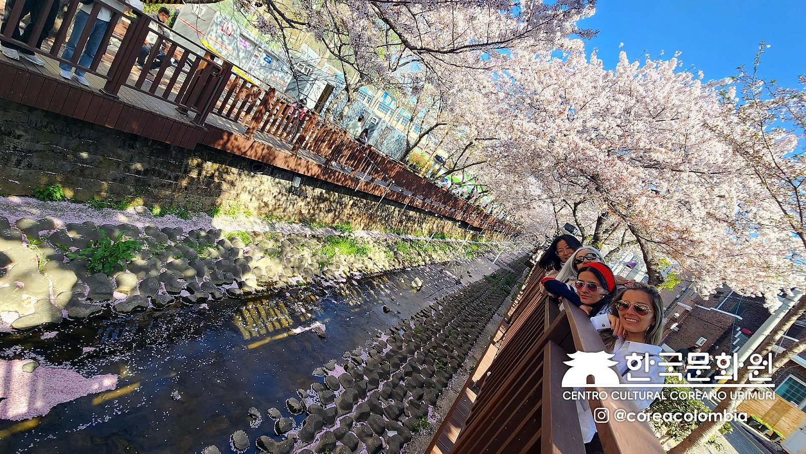 Tour a Corea Primavera 2023