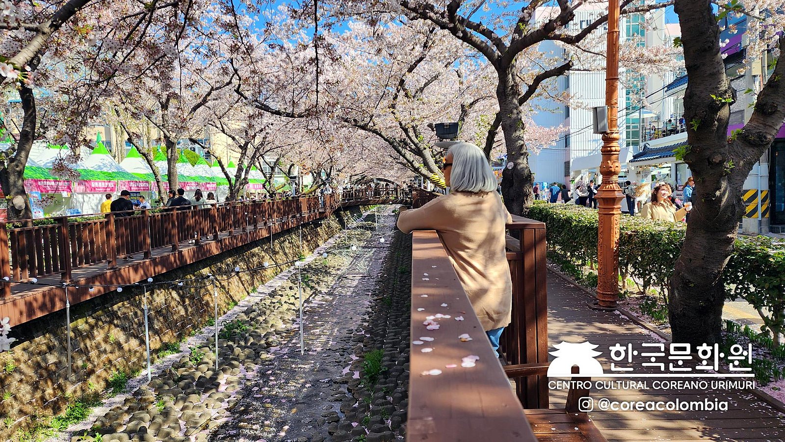 Tour a Corea Primavera 2023