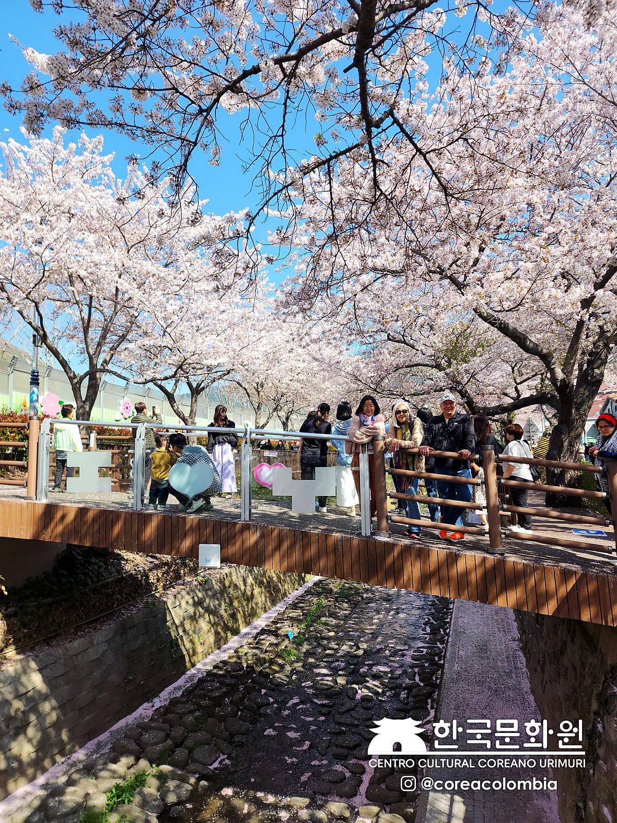 Tour a Corea Primavera 2023