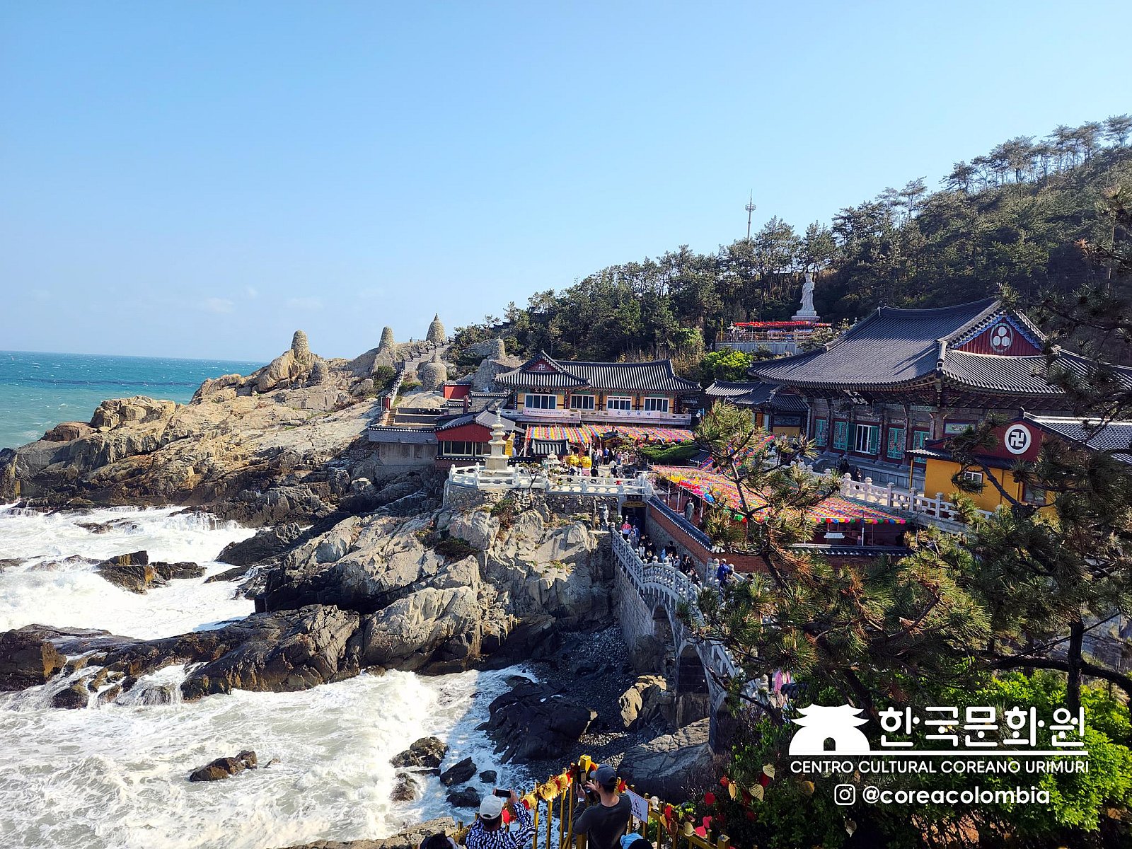Tour a Corea Primavera 2023