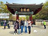 Tour a Corea Primavera