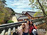 Tour a Corea Primavera