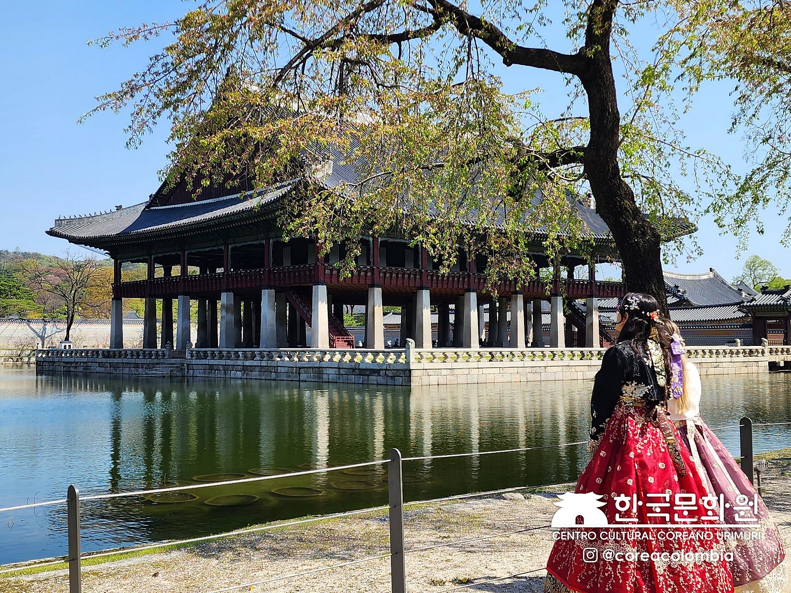 Tour a Corea Primavera 2023