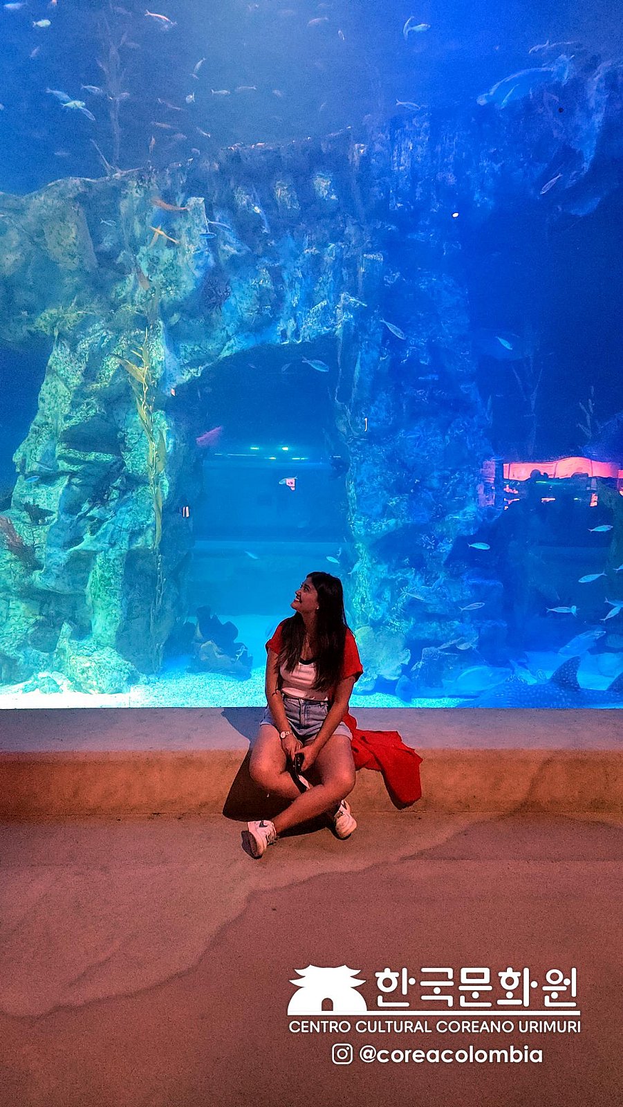 Tour a Corea Verano 2023