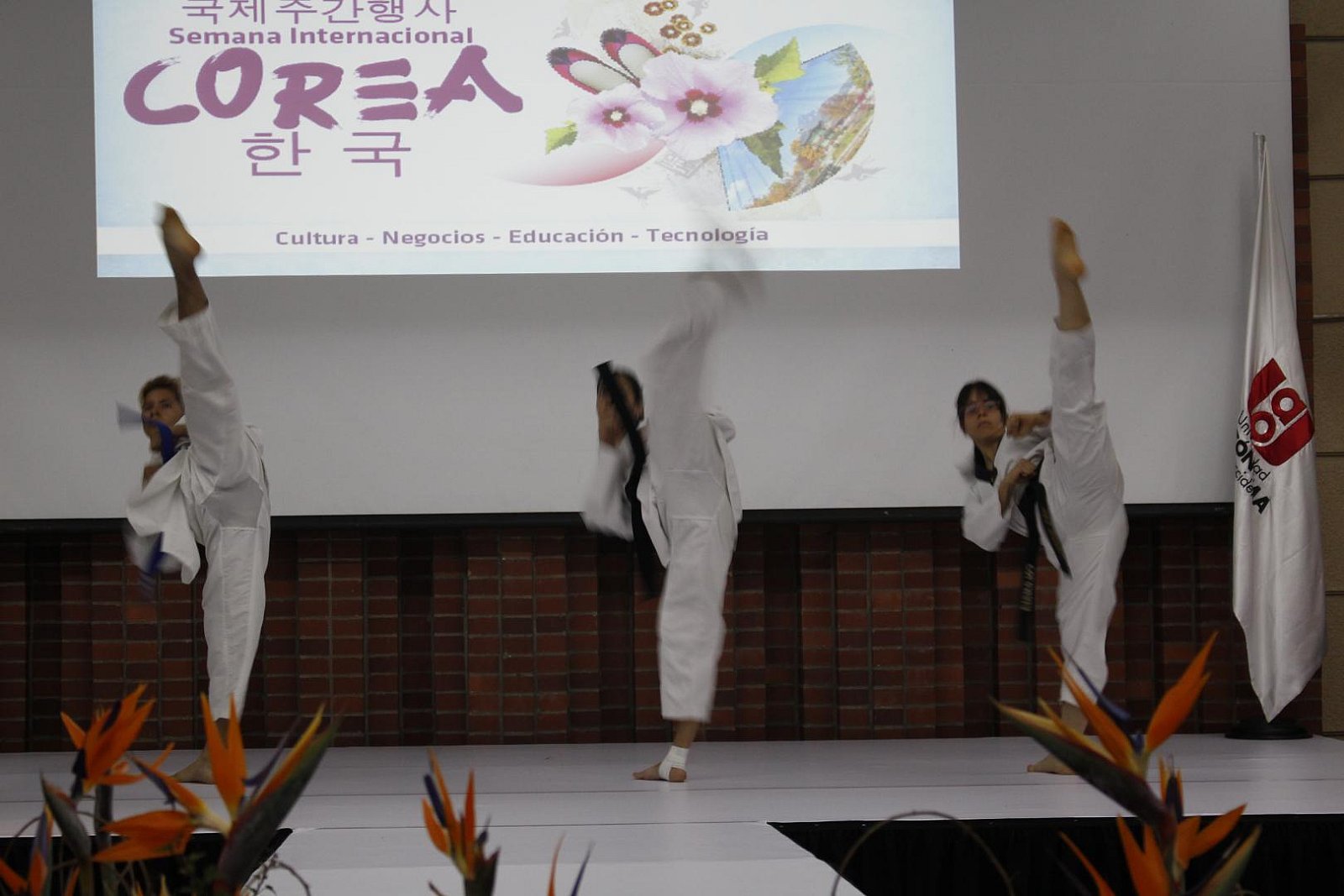 Semana Internacional de Corea en Cali