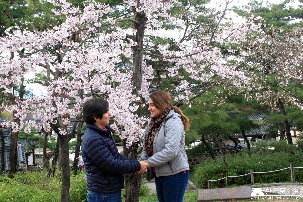 Tour a Corea Primavera 2019