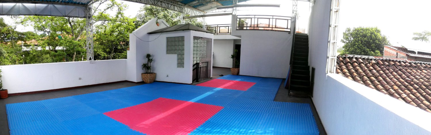 dojang1.jpg